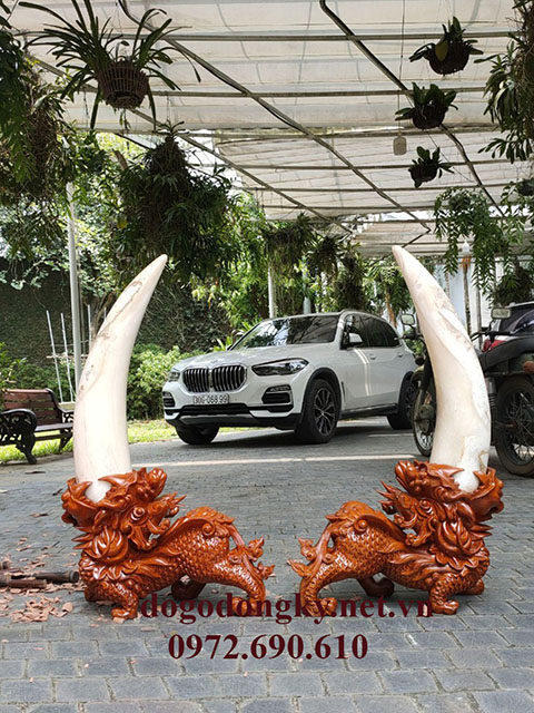 Ngà voi bằng đá