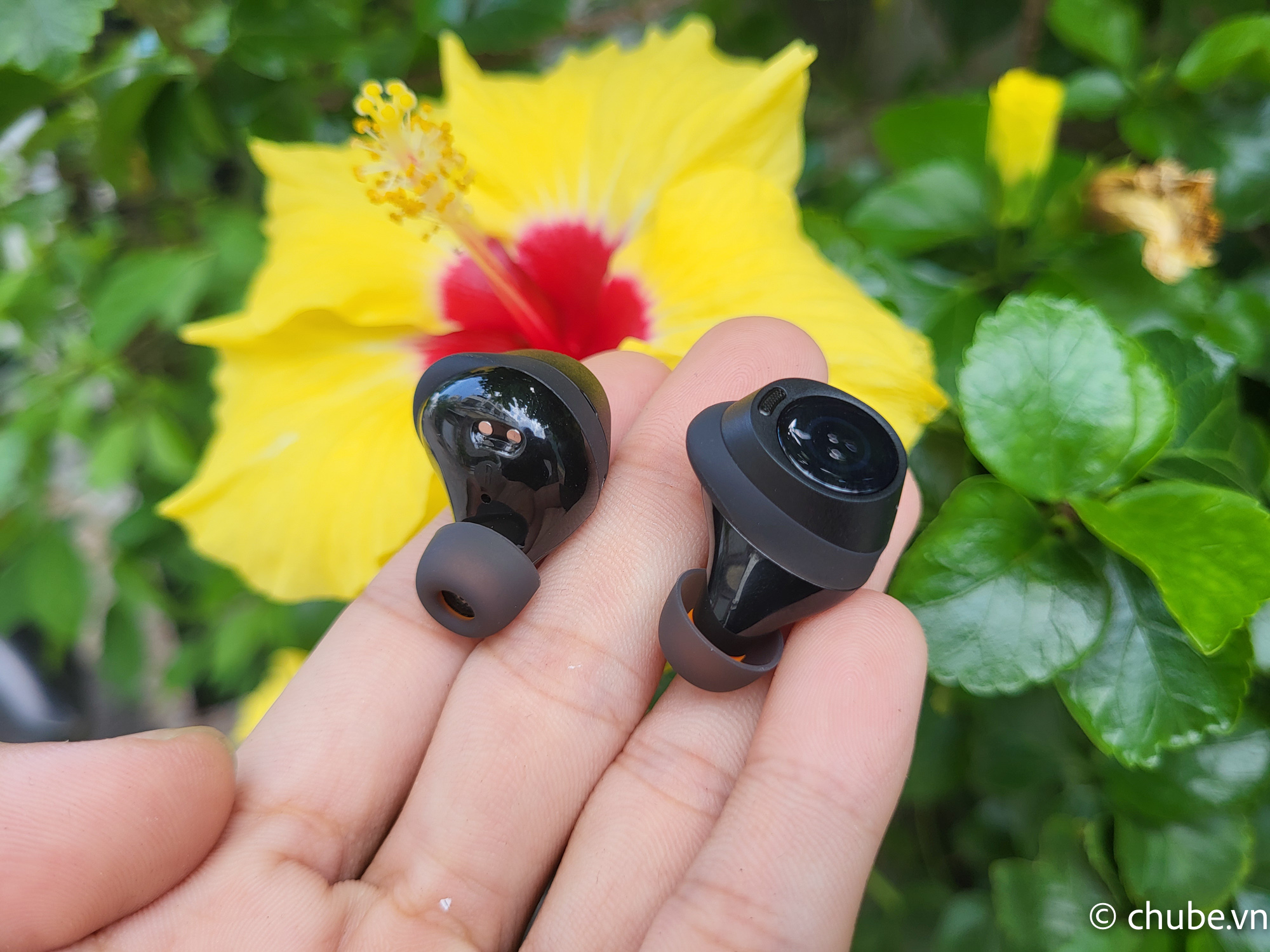 Baseus Bowie MA20 Chống ồn Chube