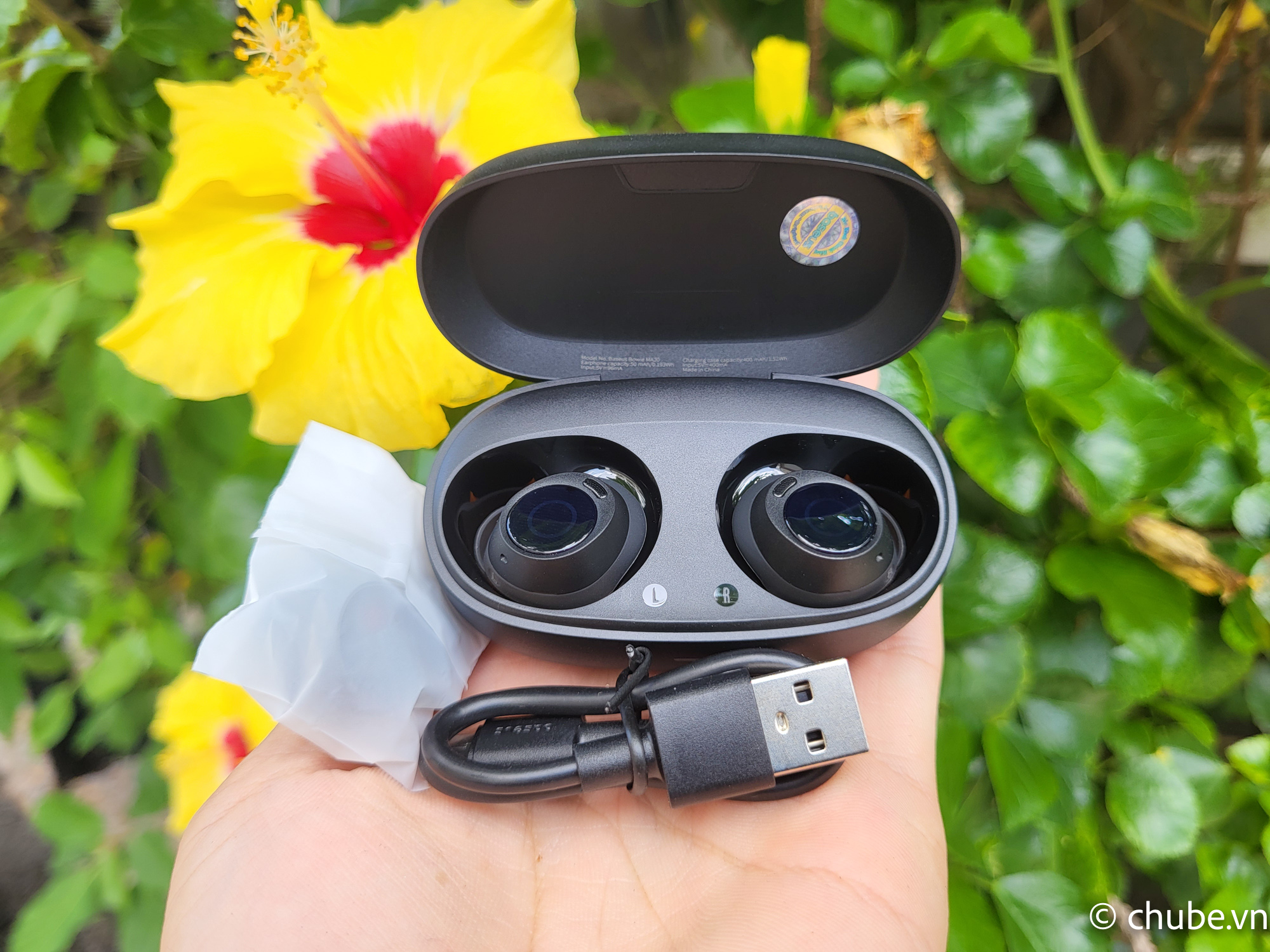 Bowie MA20 True Wireless Chube