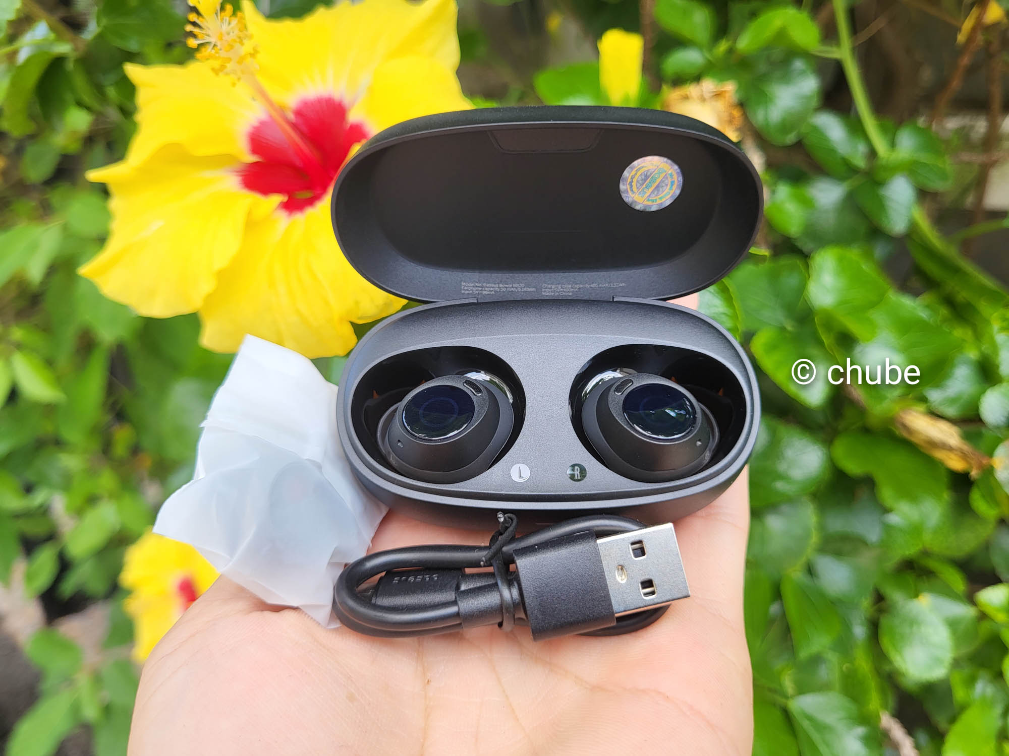 Hình ảnh Baseus Bowie MA10 và MA20