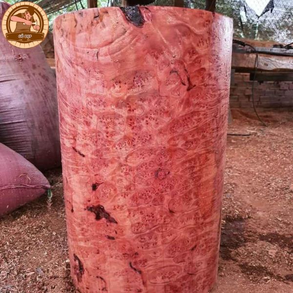 Vân gỗ không theo một hình dạng nhất định