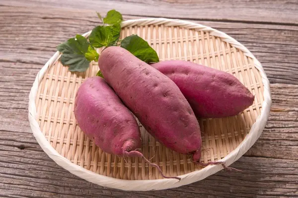 Mơ khoai lang đánh con gì