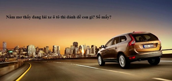 Mơ lái xe ô tô điềm báo gì?