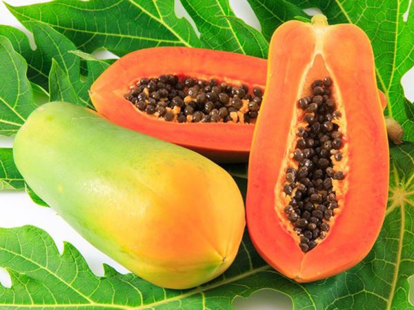 Mơ thấy cây đu đủ héo hon, chết dần chết mòn