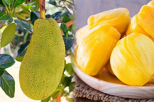 Nằm mơ quả mít mang điềm báo tương lai gì?