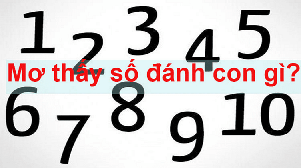 Giải mã giấc mơ lô đề