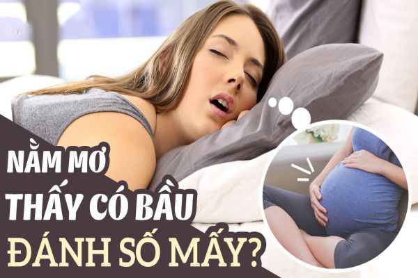 mơ có bầu đánh số gì
