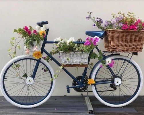 Mơ thấy xe đạp sẽ là điềm lành hay dữ?