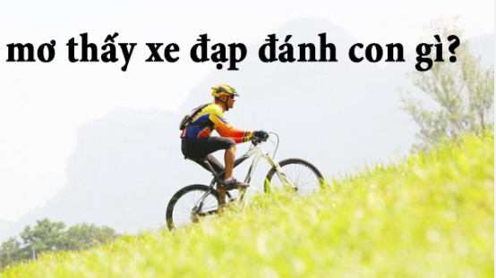 Mơ thấy xe đạp nên đánh bao nhiêu là trúng?