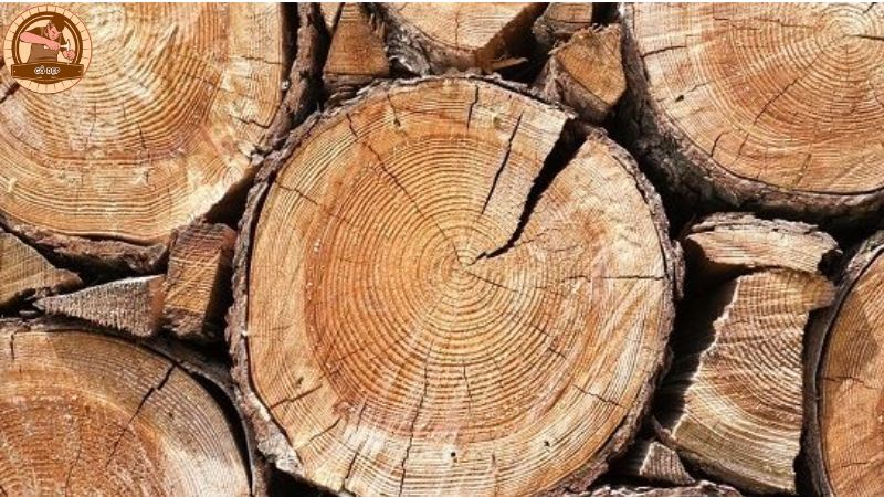 Chúng được ưa chuộng bởi sự đẹp mắt và tính thẩm mỹ cao