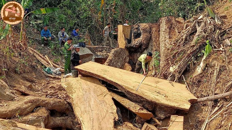 Gỗ phay có những ưu điểm và hạn chế không?