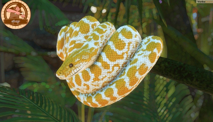 Mơ thấy con rắn vàng trên cây