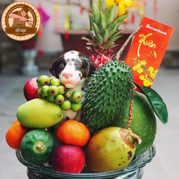 Ý nghĩa 5 loại quả thắp hương