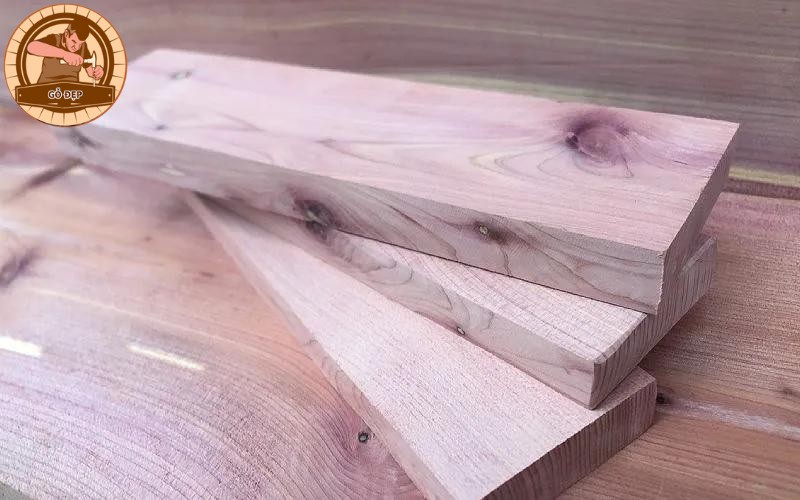 Gỗ nhai bách - một loại gỗ độc đáo, quý hiếm