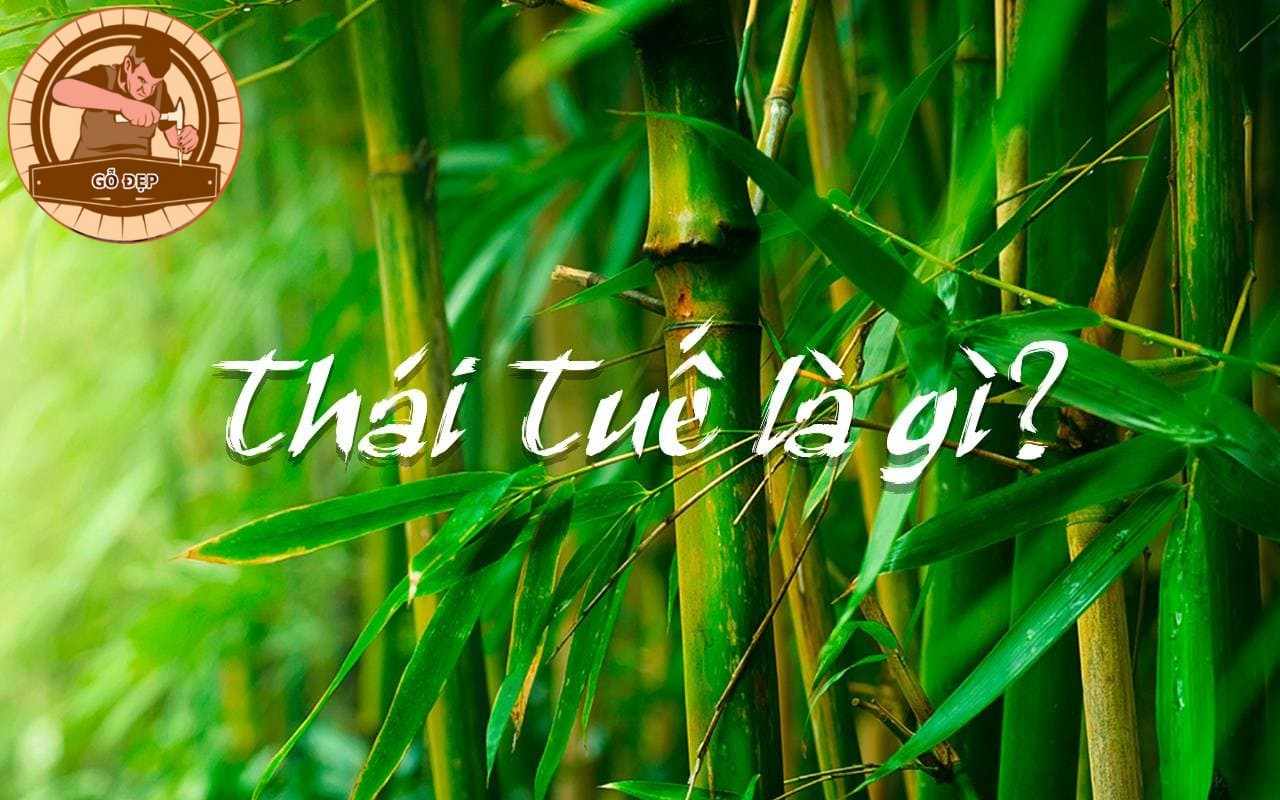 Sao Thái Tuế gặp nhưng bộ sao tốt, xấu nào?