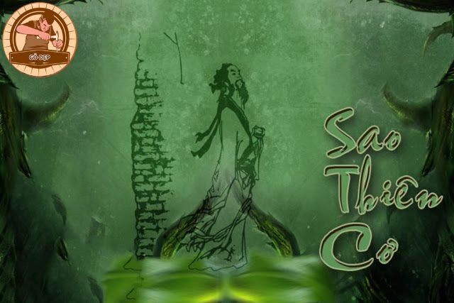 Vị trí của Sao Thiên Cơ thủ mệnh ở các cung khác nhau