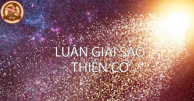 Người mang Sao Thiên Cơ ở trạng thái Hãm địa có thể là không có trí tuệ xuất chúng