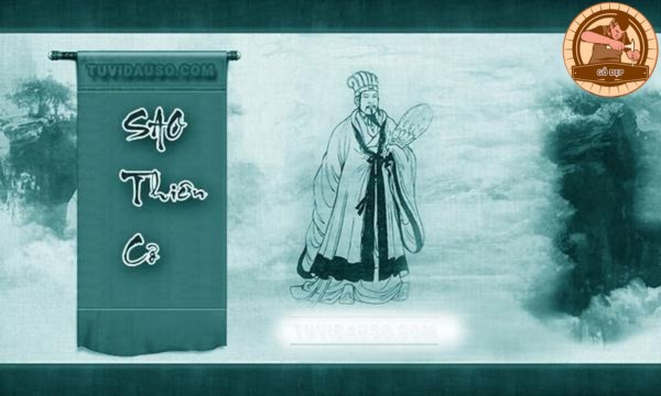 Vị trí của Sao Thiên Cơ thủ mệnh ở các cung khác nhau