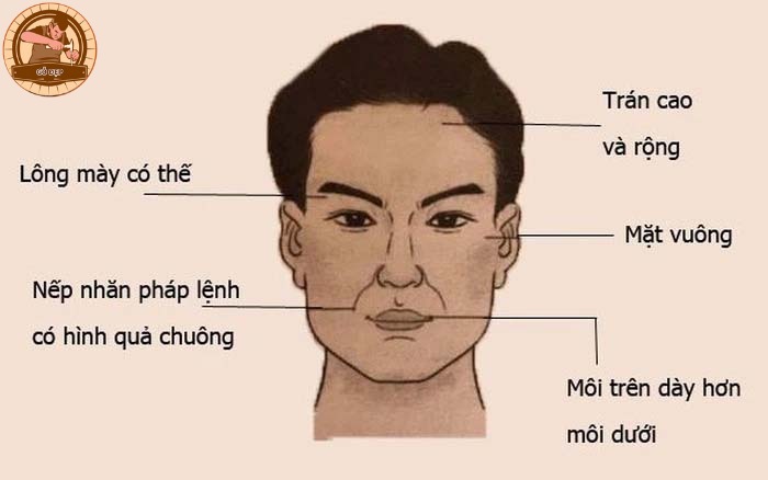 Khuôn mặt có ảnh hưởng như thế nào đến tướng xuất ngoại