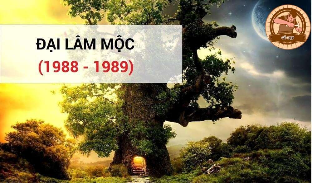 Tìm hiểu về mệnh Đại Lâm Mộc