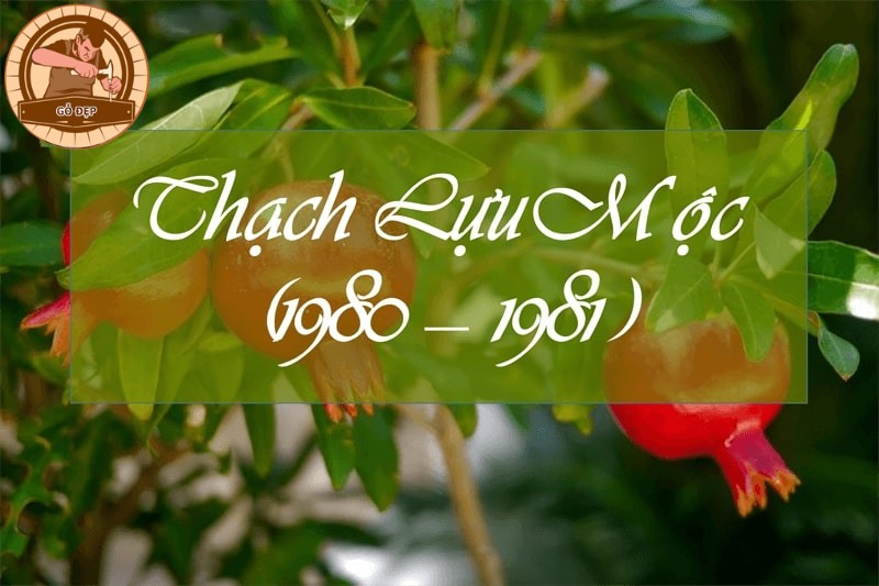 Khám phá nạp âm Thạch Lựu Mộc