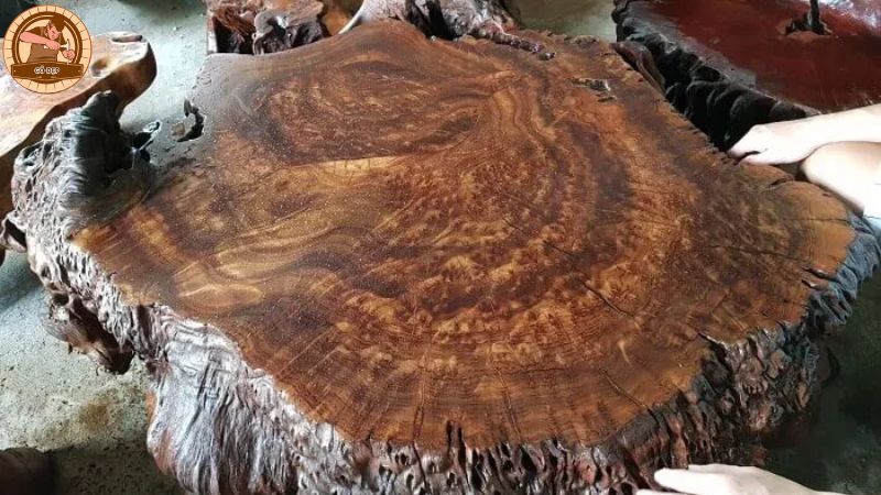 Gỗ kháo là loại gỗ vô cùng đặc biệt và độc đáo