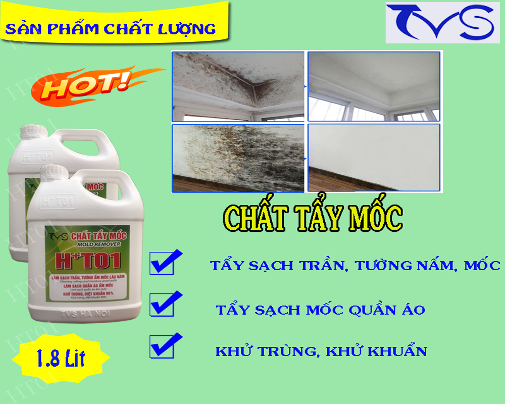 Hóa chất tẩy rửa nấm mốc tường, trần, quần áo H+T01