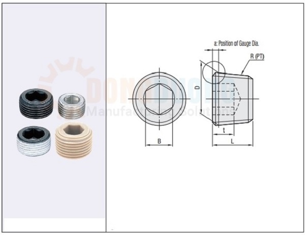 ốc bịt côn mswt