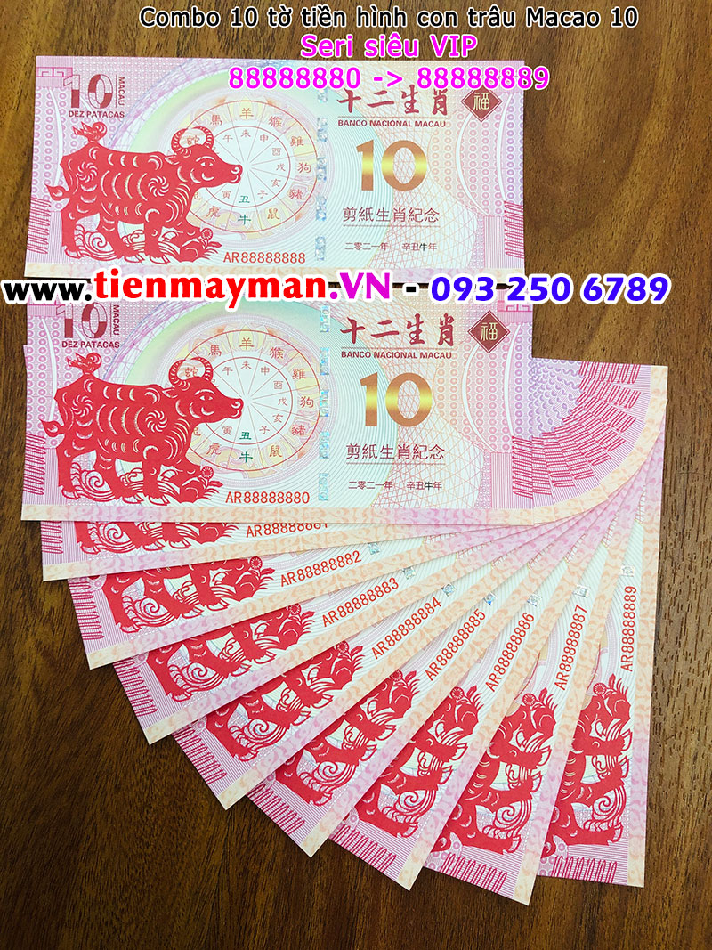 Tiền hình trâu Macao 10 seri VIP 88888888