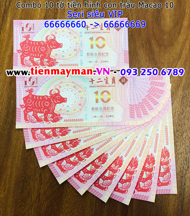 Tiền in hình con trâu Macao 10 seri VIP 66666666