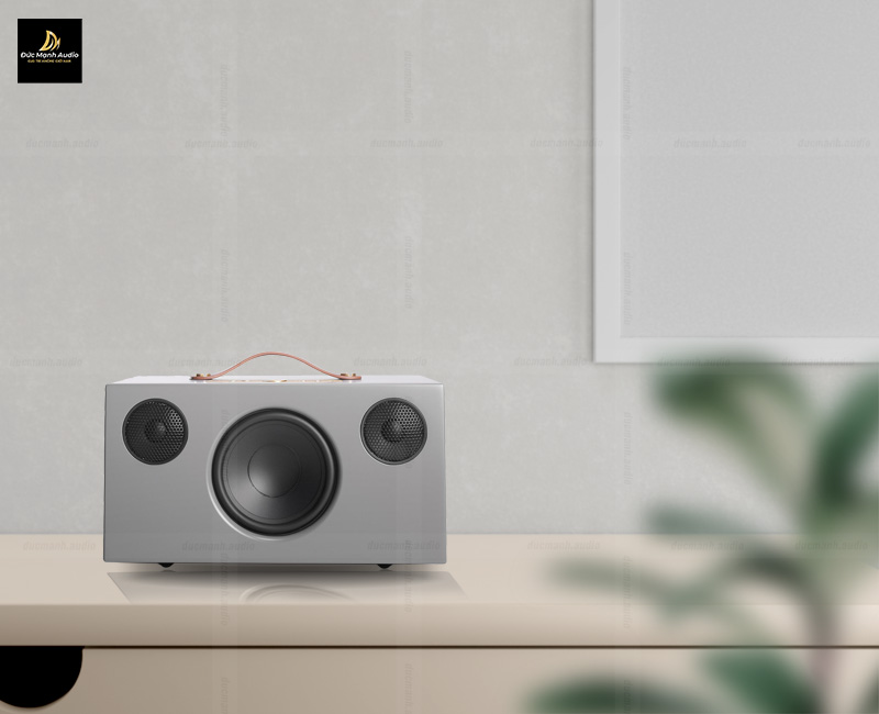 Loa bluetooth cắm điện Audio Pro Addon C5