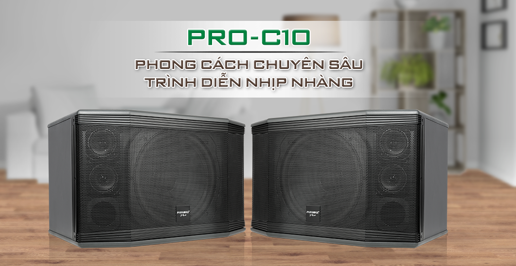 loa-karaoke-chuyen-nghiep-paramax-pro-c10