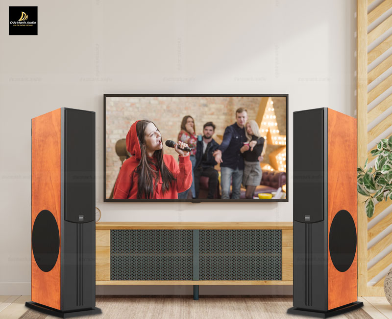 Loa karaoke Paramax D88 Limited