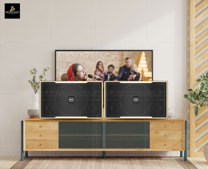 Loa karaoke Paramax Z-2500