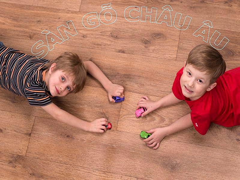 sàn gỗ châu âu cao cấp