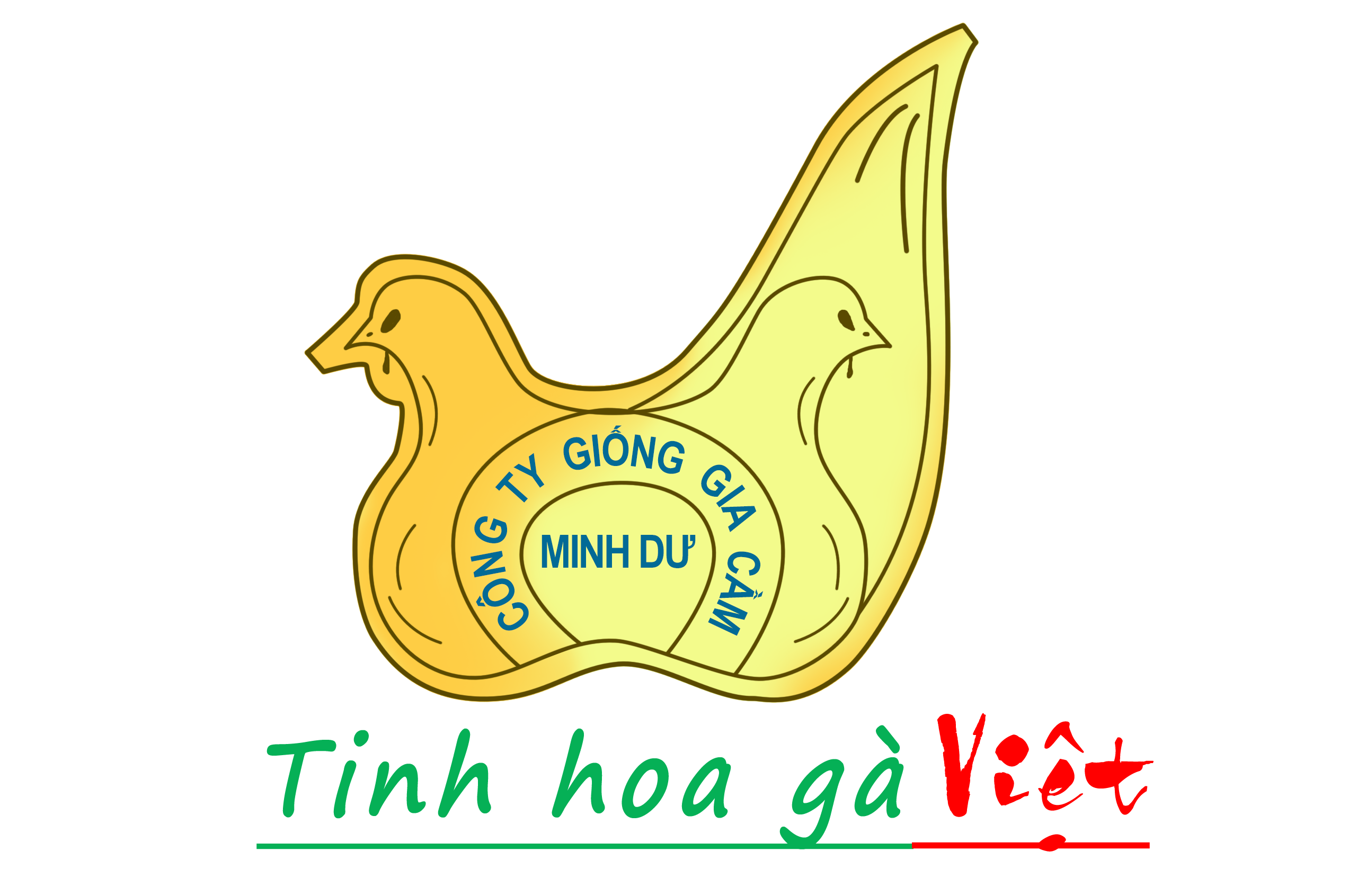 Chickens selected Minh Du Binh Dinh