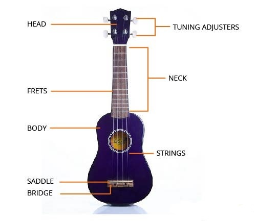 ukelele hãng nào tốt