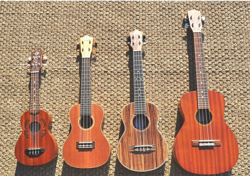 Đàn ukulele có mấy loại