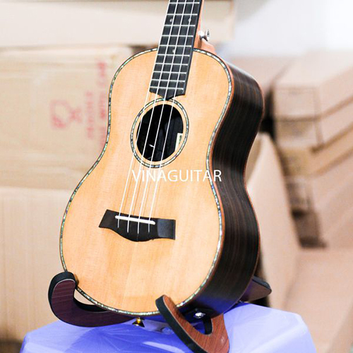 Nên mua đàn ukulele ở đâu