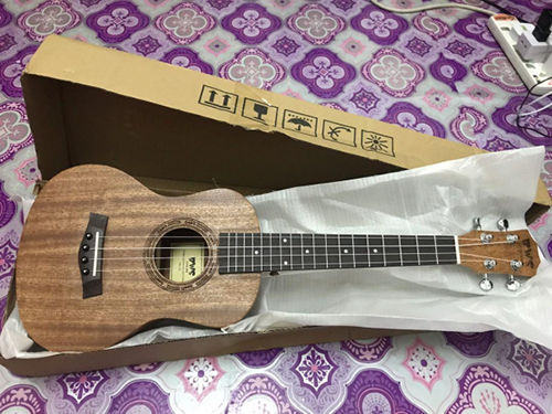 giá của đàn ukulele
