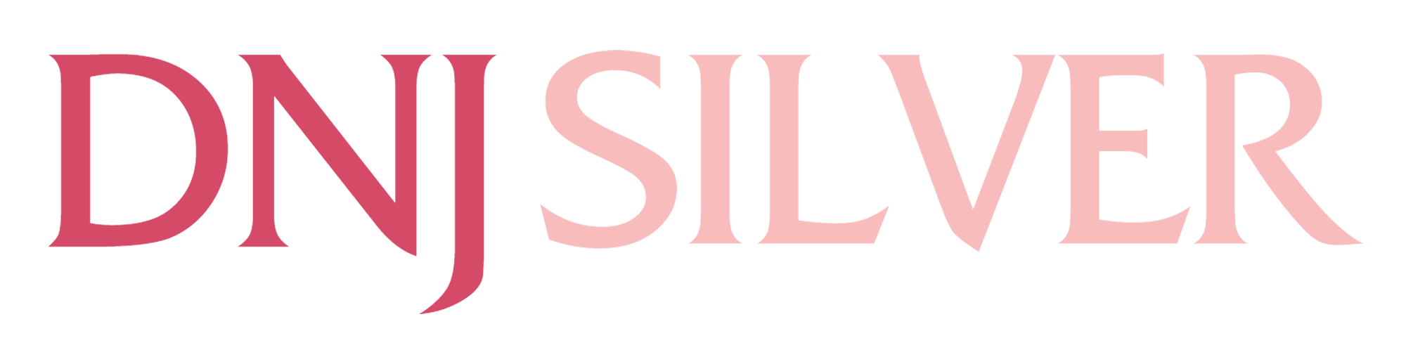 logo DNJ Silver