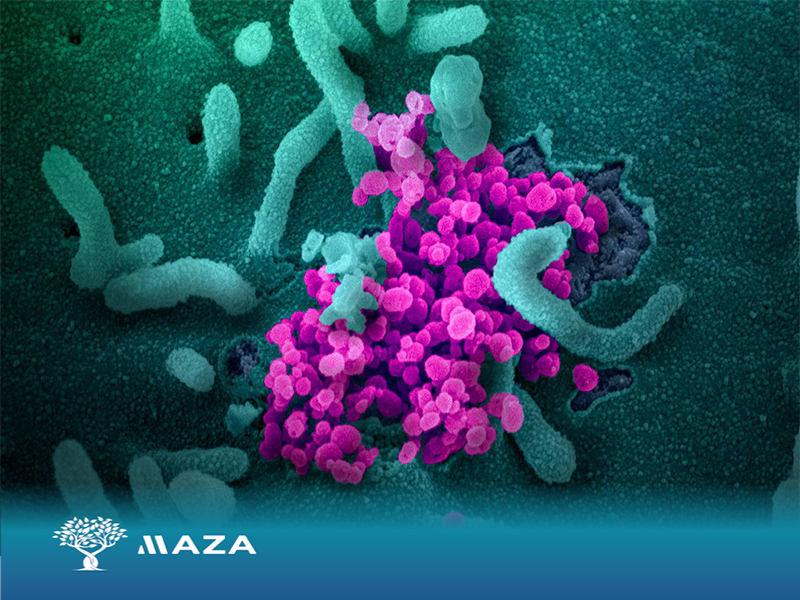Covid-19 antibody treatments are plentiful, but remain unused