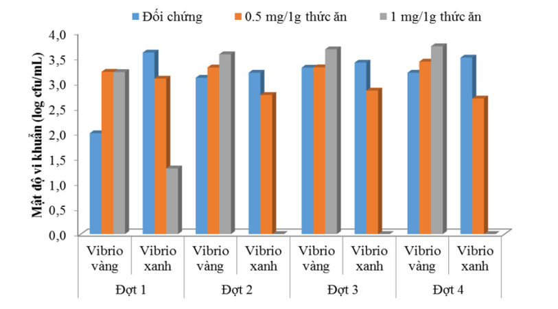 Kết quả thử nghiệm Maxlac MR đối với vi khuẩn gây bệnh Vibrio