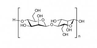 Mannan oligosaccharide (MOS) giúp kết dính, hấp phụ độc tố vi khuẩn
