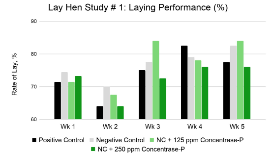 Thử nghiệm về năng suất trứng của gà đẻ khi bổ sung enzyme protease