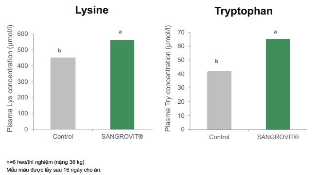 Sử dụng Sangrovit trong thức ăn chăn nuôi giúp nhà chăn nuôi tiết kiệm chi phí bổ sung đạm thô, acid amin trong khẩu phần thức ăn chăn nuôi