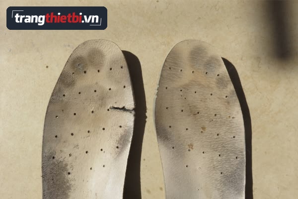 Miếng lót giày bảo hộ bị mòn sờn rách mép và dính bẩn mồ hôi chân cần được thay mới