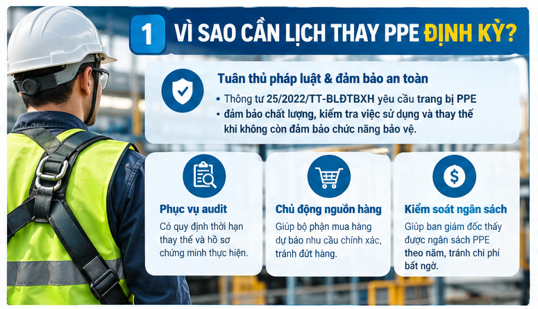 Infographic vì sao cần lịch thay PPE định kỳ bao gồm tuân thủ pháp luật phục vụ audit chủ động nguồn hàng và kiểm soát ngân sách