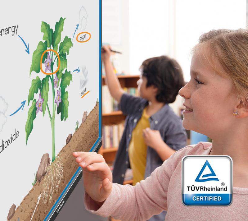 Màn hình tương tác Viewsonic VSD243