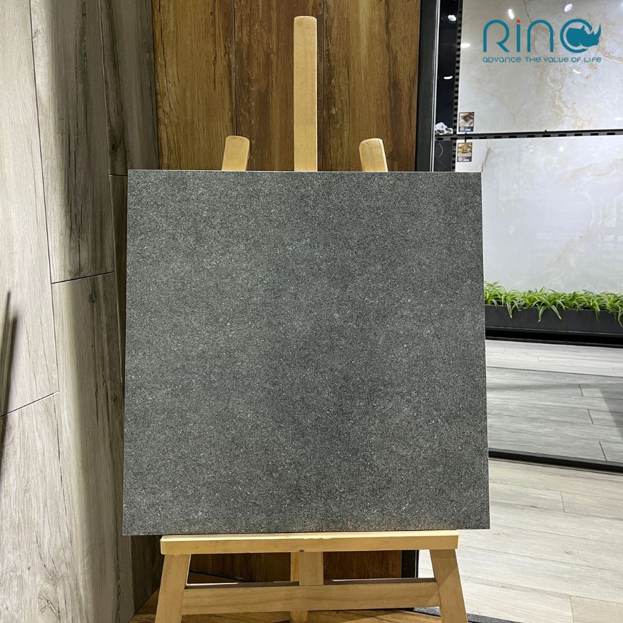 gach-carina-ca5.mo6602